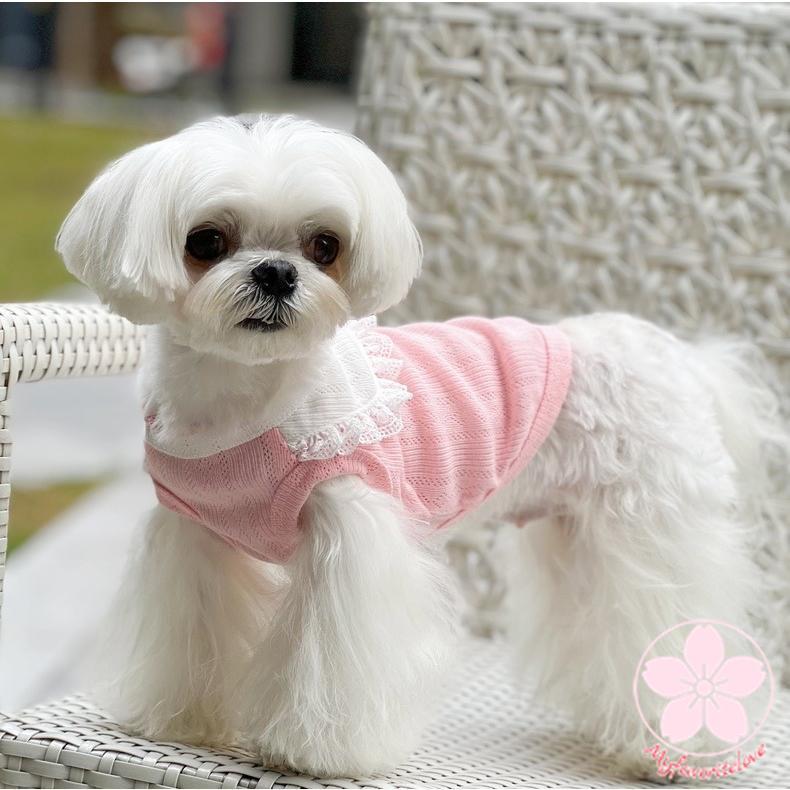 超目玉新品 ペット 服 安い 犬 春 夏 秋 フリル レース タンクトップ かわいい ハイブランド 猫 ドッグウエア