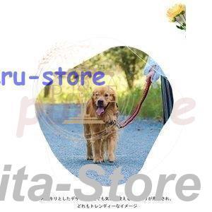 今年の流行,犬用 首輪 リード ２点セット 牽引ロープ ペット用品 大型犬 中型犬 牽引縄 セットアップ お洒落 ドッグウェア ハーネス 色切り替え