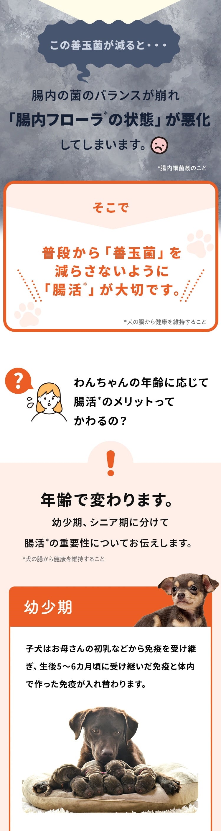 <a href="https://www.qoo10.jp/gmkt.inc/Search/brand.aspx?brandno=62316" target="_blank" class="title_brand" id="btn_brand" title="大正製薬">大正製薬</a>【公式】大正製薬 わんビオフェルミンS 40g 犬 サプリ サプリメント 腸活 免疫力 健康維持 ビフィズス菌 乳酸菌 犬サプリ イヌ 犬用 ペット 腸活サプリ 無添加 ふりかけ 粉 腸内環境