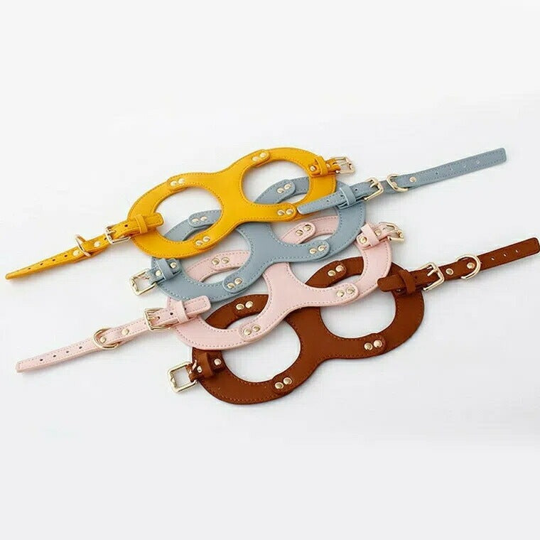 今年の新品 上品カラーで高見え 防水 ハーネス＆リード ハーネスリード ハーネスリードセット 胴輪 ハーネス リード 犬 イヌ ドッグ dog 小型犬 犬用 ペット用 犬具 胴輪 散歩 出かけ 簡単上