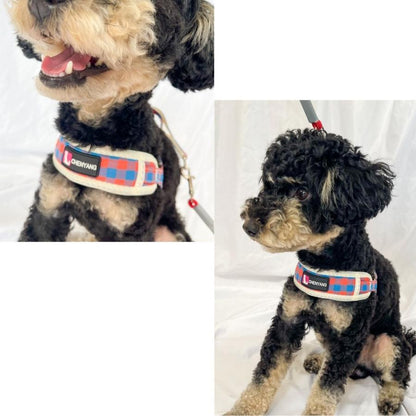 フレブル 胴輪 犬 小型犬 ハーネス チェック柄メッシュハーネスリードセット 中型犬 柴犬 犬用ハーネス おしゃれ 犬のハーネス ソフトハーネス