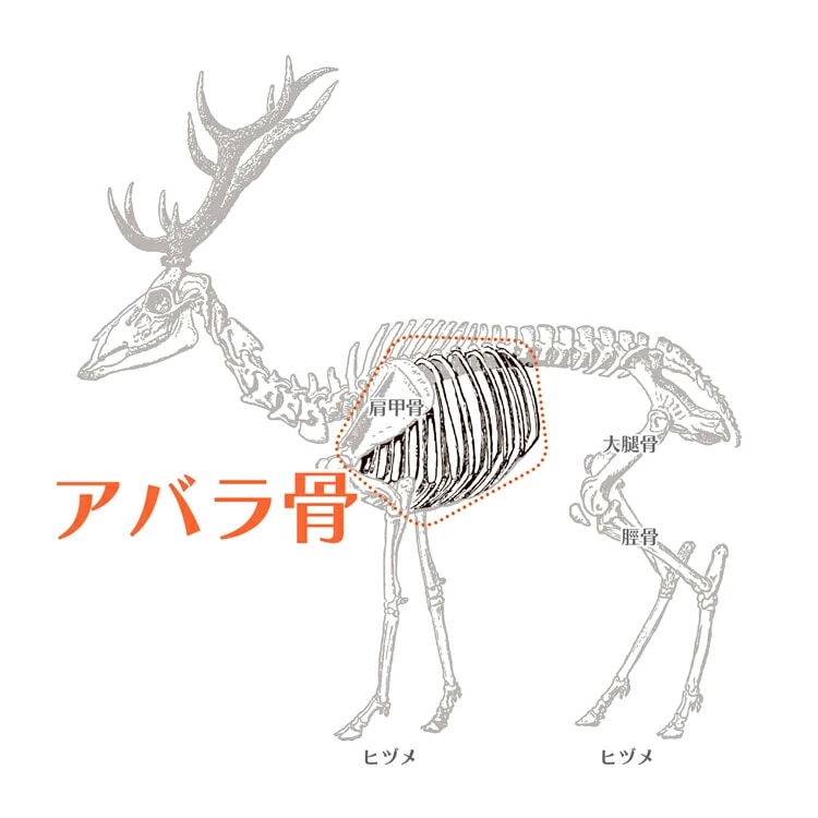 エゾシカ アバラ骨 ロング 150g ルークラン
