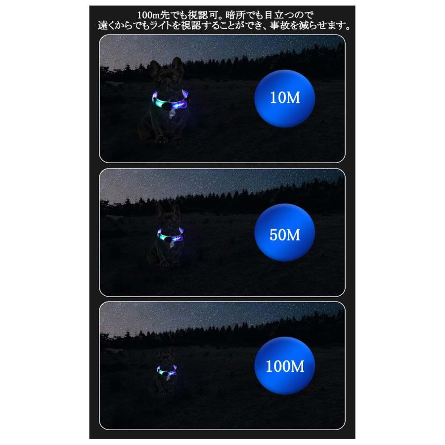 [送&料無料]リード LEDライト式リード LED 光る 首輪 ライト付き カラフル 夜間 USB 充電式 充電式 散歩 犬 発光 幅2.3cm 小型犬 点滅 犬用リード LEDライト式リード