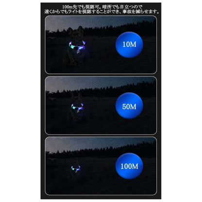[送&料無料]リード LEDライト式リード LED 光る 首輪 ライト付き カラフル 夜間 USB 充電式 充電式 散歩 犬 発光 幅2.3cm 小型犬 点滅 犬用リード LEDライト式リード