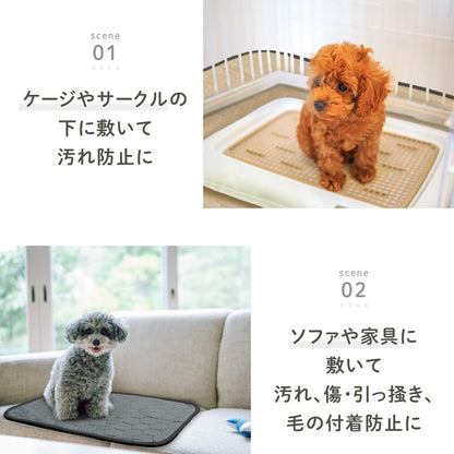 <a href="https://www.qoo10.jp/gmkt.inc/Search/brand.aspx?brandno=117010" target="_blank" class="title_brand" id="btn_brand" title="LASIEM">LASIEM</a>【発送3日以内】洗える ペットシーツ 2枚セット 犬 猫 犬用 ペットマット トイレシート おしっこシート 介護 ペットマット 食事マット 防水 おしっこパッド マット 滑り止め 介護シーツ 漏れ防止