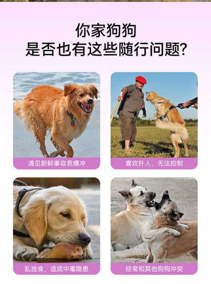 犬 リード ハーネス 紐 散歩紐 犬用デニムハーネス＆リード けん引ロープ ペット用品 s03