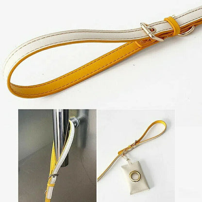 今年の新品 上品カラーで高見え 防水 ハーネス＆リード ハーネスリード ハーネスリードセット 胴輪 ハーネス リード 犬 イヌ ドッグ dog 小型犬 犬用 ペット用 犬具 胴輪 散歩 出かけ 簡単上