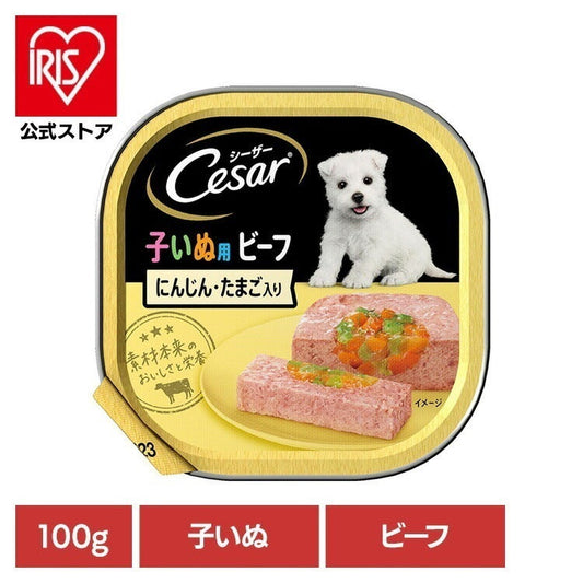 【人気商品】ドッグフード Cesar シーザー 子いぬ用 トレイ ビーフ にんじん・たまご入り 100g CE50N マースジャパンリミテッド