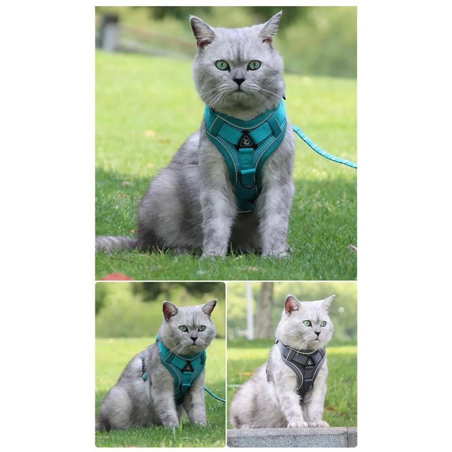 新商品プロモーション，数量限定 犬 猫 ハーネス メッシュ 衝撃吸収 体に優しい 15m リード ペット 服 フルカバー ウェアハーネス 胴輪 キャット ドッグ犬 猫