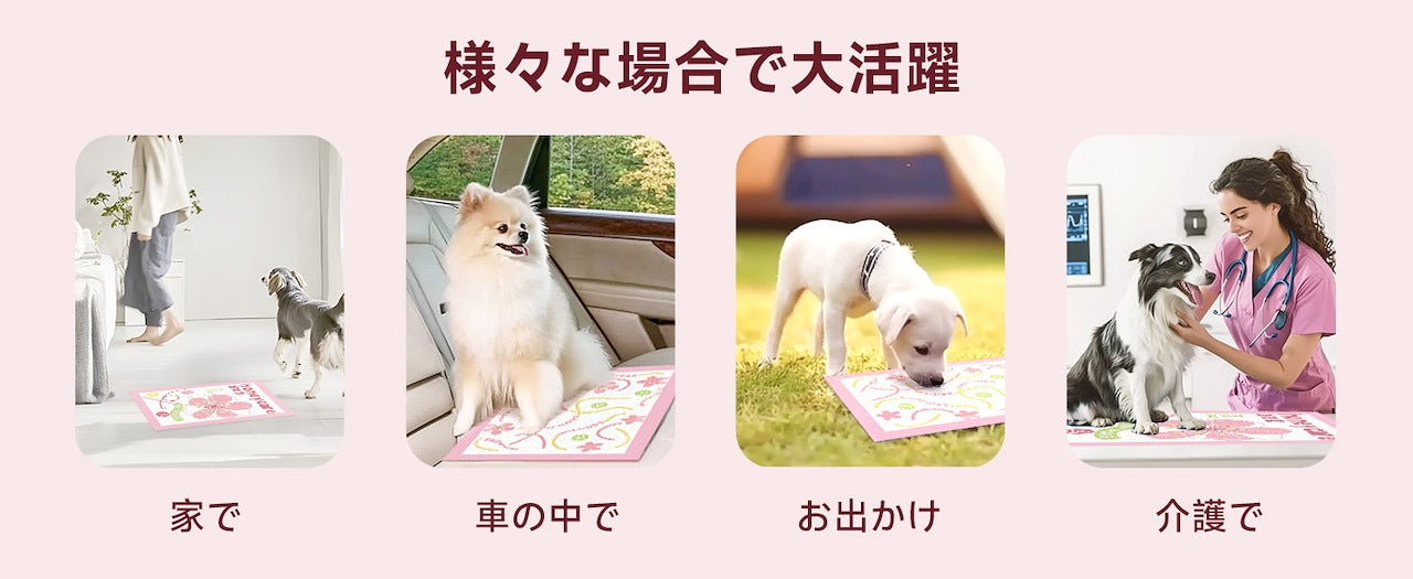 <a href="https://www.qoo10.jp/gmkt.inc/Search/brand.aspx?brandno=109151" target="_blank" class="title_brand" id="btn_brand" title="Honeycare">Honeycare</a>ペットシーツ 厚型 二種類花柄付き レギュラー 264枚（88枚×3袋） ワイド 132枚（44枚×3袋）トイレシーツ まとめ買い ペット用 ペットシート トイレシート おしっこシート 犬 猫用