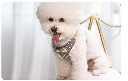 【3日以内に出荷】ハーネス 犬 リード付 ペット ソフトハーネス 胴輪 メッシュ素材 ベスト 小型犬 中型犬 大 ペット