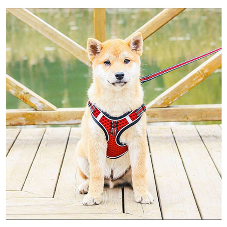 ハーネスリードセット 犬 ハーネス 小型犬 中型犬 大型犬 犬 ウェアハーネス 胴輪 キャット ドッグ ペット トレーニング ペット用品 お散歩 しつけ リード 引っ張り 防止 メッシュ 装着しやすい