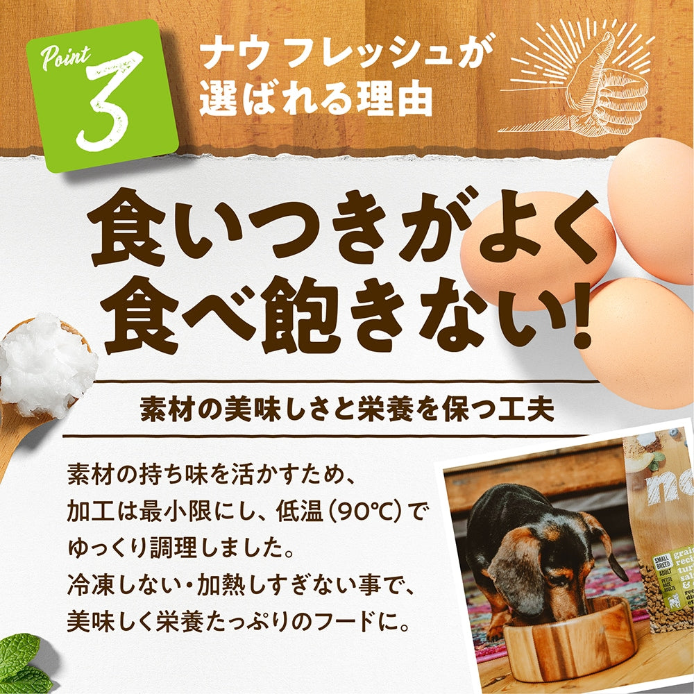ナウフレッシュ グレインフリー スモールブリード アダルト 2.3kg 小粒 ドッグフード NOW FRESH