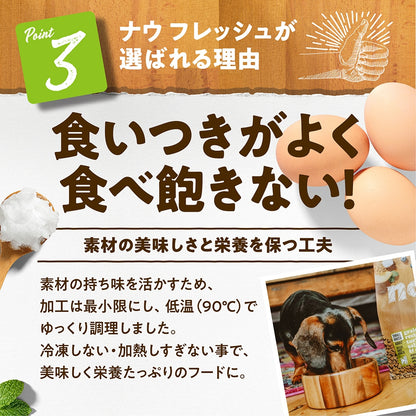 ナウフレッシュ グレインフリー スモールブリード アダルト 2.3kg 小粒 ドッグフード NOW FRESH