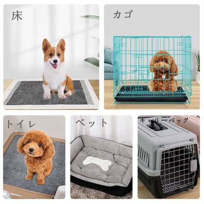 <a href="https://www.qoo10.jp/gmkt.inc/Search/brand.aspx?brandno=109151" target="_blank" class="title_brand" id="btn_brand" title="Honeycare">Honeycare</a>ペットシーツ 薄型 中厚型 厚型 おしっこシーツ トイレシートサイズ選択可 1ケースレギュラー480枚 ワイド 240枚スーパーワイド120枚 炭入り 犬猫　消臭 多頭飼い　1回使い捨て