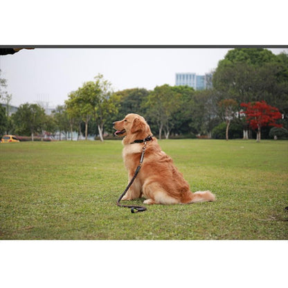 犬用 首輪 リード 大型犬 中型犬 ペットリード 革 レザー メタル スプリング付き 衝撃緩和 錆に強い 丈夫 頑丈 ちょっぴり かっこいい