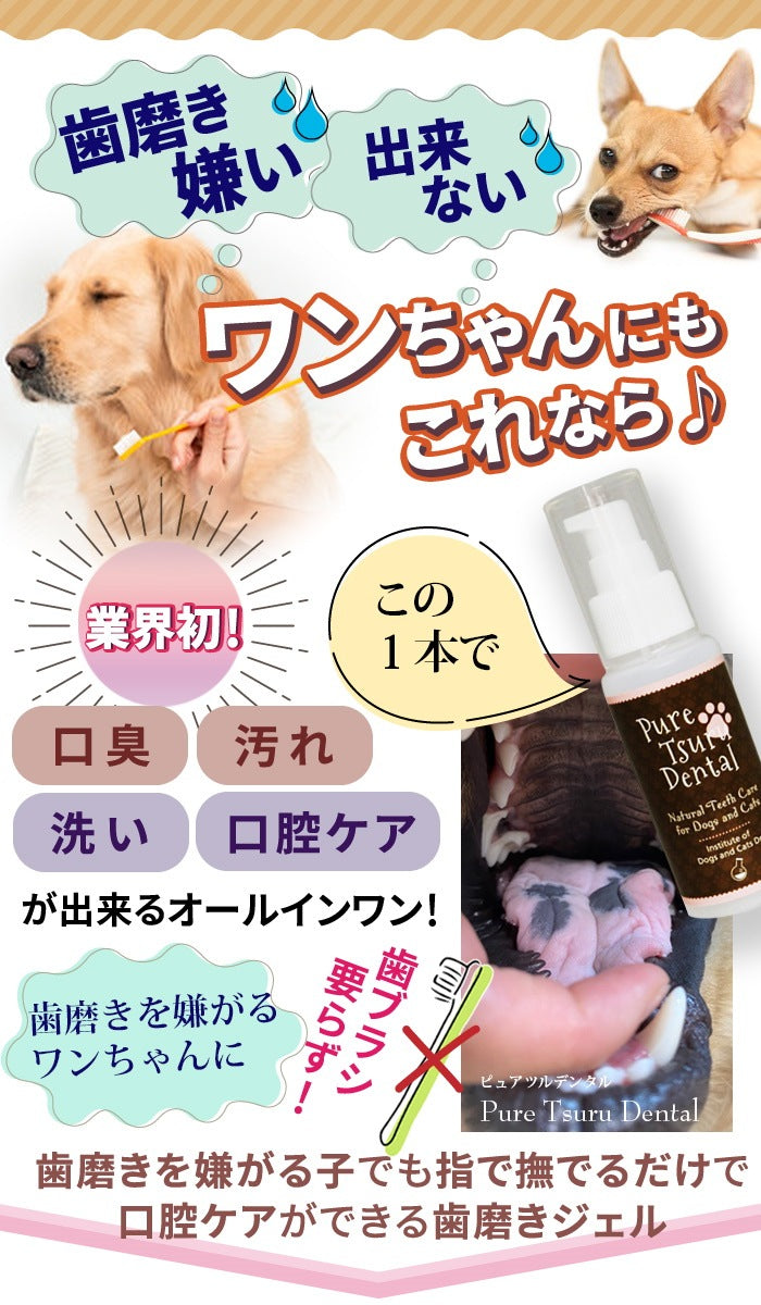 獣医推薦愛犬愛猫の歯垢歯石歯周病が塗るダケでツルツルな歯に！安心安全な100％天然由来！歯磨ジェル　ピュアツルデンタル60m