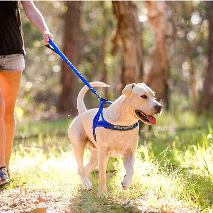 【人気商品】EZ リード ゼロショック 64cm EZYDOG