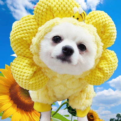 人気犬の服ペット秋冬服用品新作ひまわり帽子中綿入り
