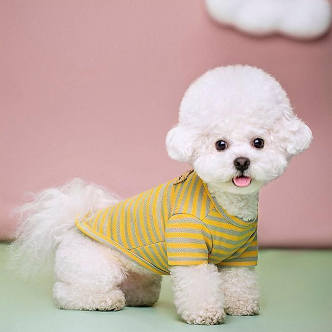 ペット服 Tシャツ 犬用 半袖 クマ ストライプ柄 配色 軽量 通気性 柔らかい 可愛い 新品 大人気 着せやすい 抜け毛対策 汚れ防止 冷え対策 春夏