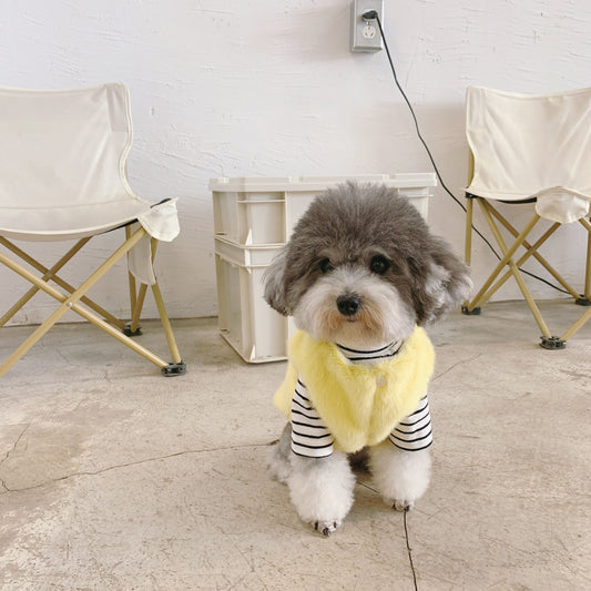 新作入荷 犬 服 犬服 春 秋 ペット服 犬服春秋インス小型犬ペット猫ウエストコート
