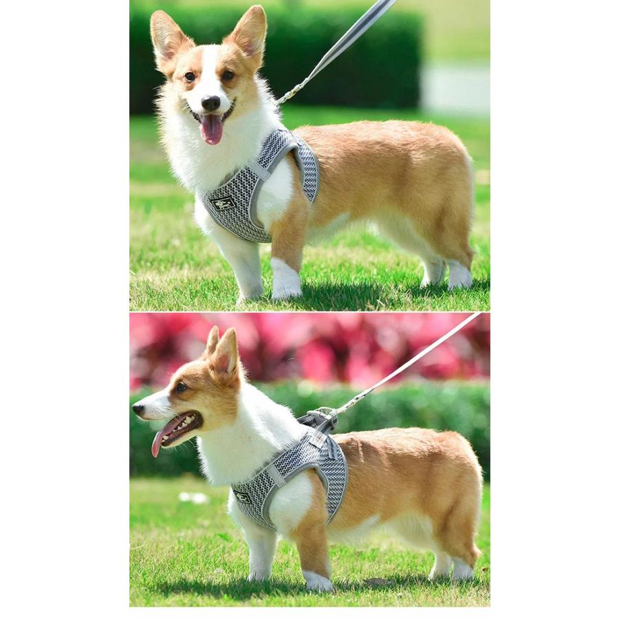新商品プロモーション，数量限定 セラー犬 ハーネス リード付 ペット 服 ハニカムメッシュ ウェアハーネス 胴輪 キャット ドッグ メッシュセラー犬 ハーネス