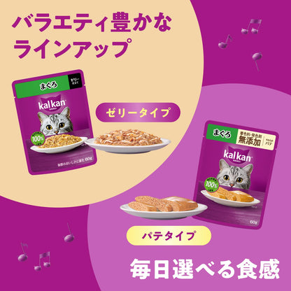 カルカン パウチ ペースト 11歳から 60g×12袋 着色料・発色剤 無添加 味わいとりささみ シニア 高齢期 やわらかペーストウェットフード キャットフード 総合栄養食 水分補給 毎日食べることを
