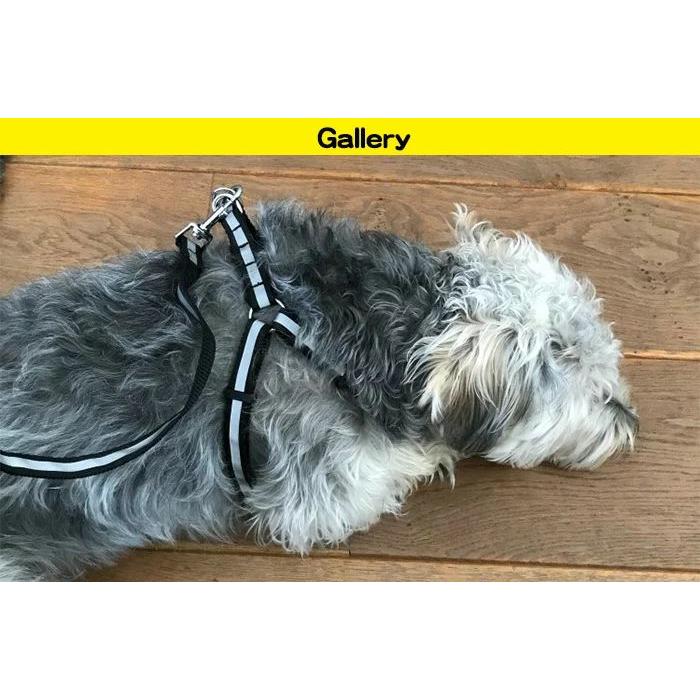 新商品プロモーション，数量限定 り犬 猫 ハーネス リード ペット 胸あて 胴輪 キャット ドッグ メッシュ 反射テープ 付り犬 猫