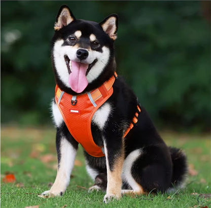 犬ハーネス 犬用 5.0ｍ伸縮紐 犬用胴輪 反射材料付き 装着簡単 喉にやさしい 小型犬　大型犬 散歩/訓練/お出掛 ペット はーねす 安全 抜けない 軽量 調節可能