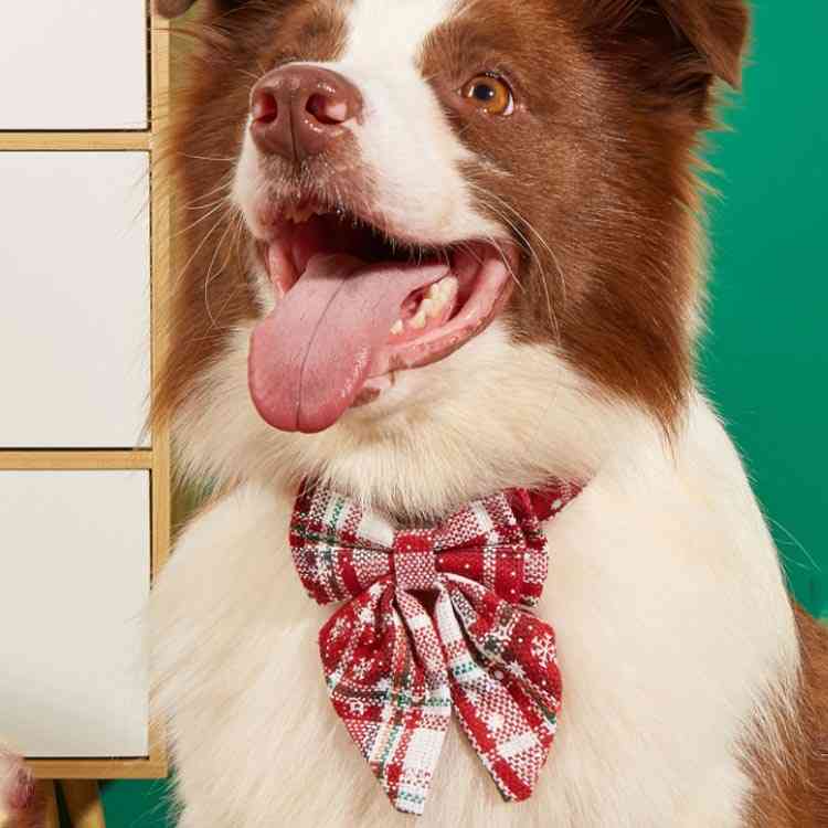 蝶ネクタイ リボン 首輪 犬首輪 小型犬 中型犬 大型犬 首輪 リボン ネコ 猫首輪 猫用首輪 チェック柄 首輪 雪の結晶 首輪 クリスマス カラー キャット 猫用 ペット用品 犬 猫 カラー チョー