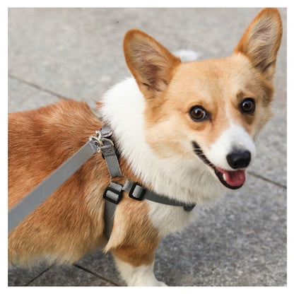 犬具 ハーネスリードセット 小型犬 ドッグ メッシュ ハーネスリード dog ベスト型 胴輪 犬用