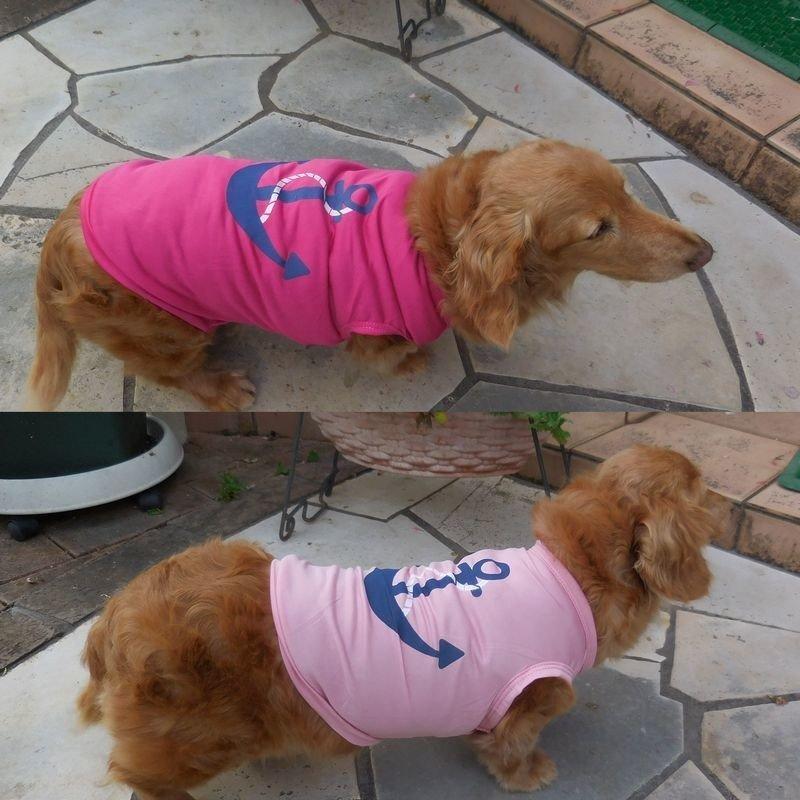 超目玉新品 ペットファッション 犬服 ドッグウェア ペットウェア 薄手 ノースリーブ プリントＴシャツ 碇 マリン 犬用 犬 いぬ ドッグ 可愛い かわいい