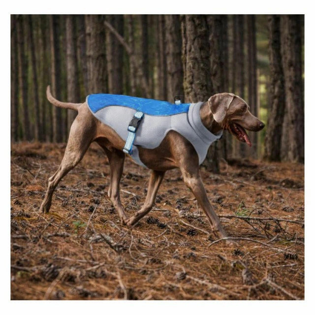 キャンペーンイテムドッグウエア クール 熱中症対策 ペット 犬服 大型犬 犬用 ひんやり ドッグウェア 小型犬用 暑さ対策 クール クール 冷感クール 接触冷感 クールウエア 着脱簡単 通気 着せや