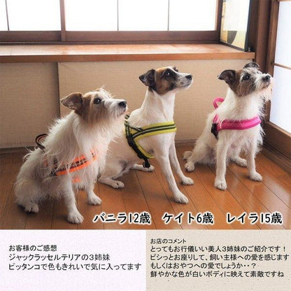 犬 ハーネス 犬用 ハーネス Truelove ブランド 胴輪 ソフトパッド 簡単装着 快適 スポーツハーネス 超大型犬 大型犬 小型犬