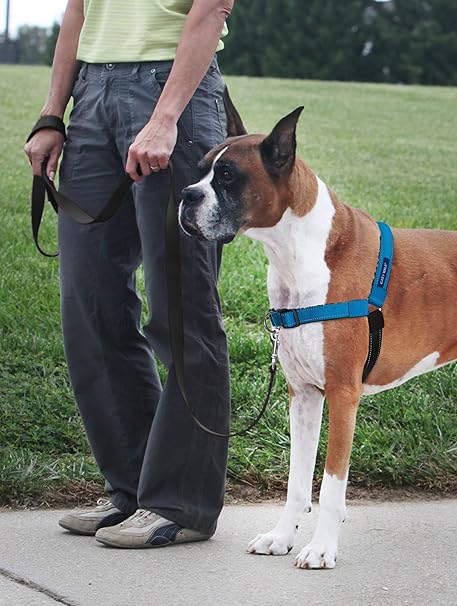 犬用 引っ張り防止ハーネス デラックスイージーウォークハーネス オーシャンブルー×ブラック M