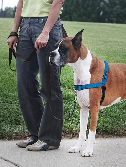 犬用 引っ張り防止ハーネス デラックスイージーウォークハーネス オーシャンブルー×ブラック M