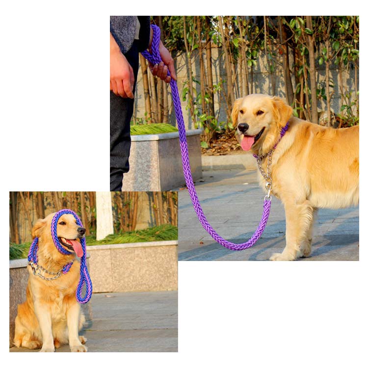 リード 首輪 2点セット 犬 首輪セット リードセット 小型犬 中型犬 大型犬 太く 頑丈 犬用リード 散歩 お出かけ しつけ ペット 極太 編み紐 噛み癖 防止 ドッググッズ ペット用 お