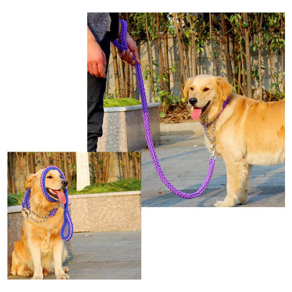 リード 首輪 2点セット 犬 首輪セット リードセット 小型犬 中型犬 大型犬 太く 頑丈 犬用リード 散歩 お出かけ しつけ ペット 極太 編み紐 噛み癖 防止 ドッググッズ ペット用 お