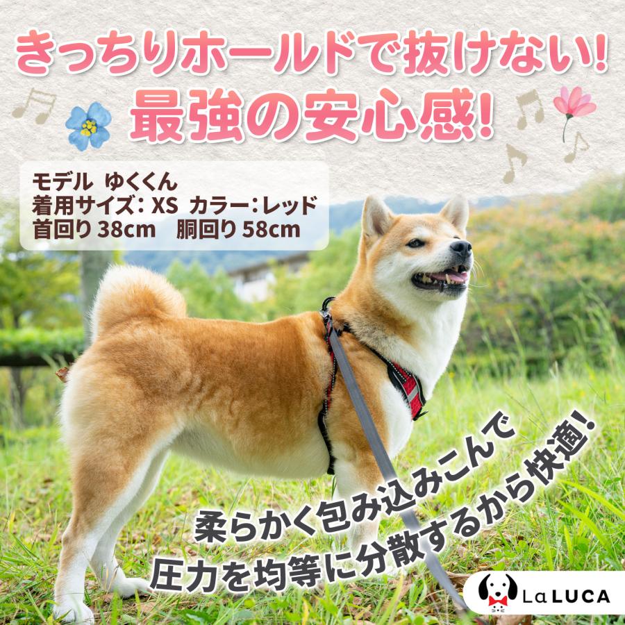 犬 ハーネス リード 抜けにくい 小型犬 中型犬 大型犬 ハーネスリードセット スタンダード 抜けない 犬用 首輪 胴輪 散歩