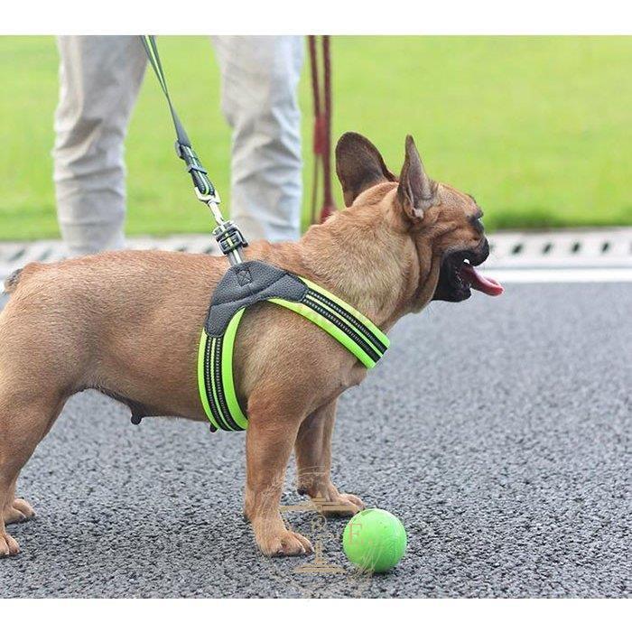 [高品質]ハーネス 犬 おしゃれ 小型犬 大型犬 中型犬 犬のハーネスリード 脱げない 発光バンド 散歩 首輪 ペット用品