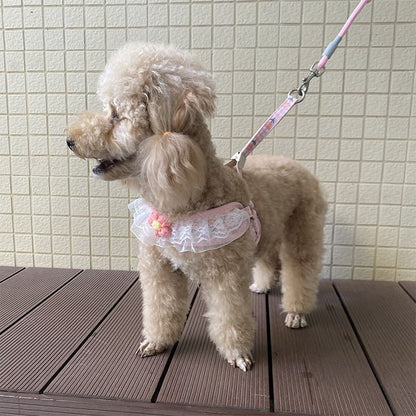 犬の牽引紐レースの胸の帯のテディ比熊の小型犬の牽引犬の縄は犬のひもの犬のチェーンを散歩します