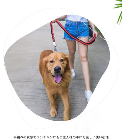 送 料 無 料！犬用 首輪 リード ２点セット 牽引ロープ ペット用品 大型犬 中型犬 牽引縄 セットアップ お洒落 ドッグウェア ハーネス 切り替え