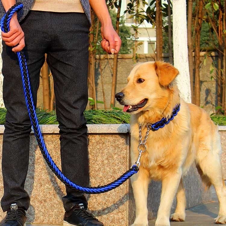 メガ割2025福袋-リードと首輪セット 犬 ドッグ リード 首輪 2点セット ドック用品 犬用 首輪 リード リードセッ837910