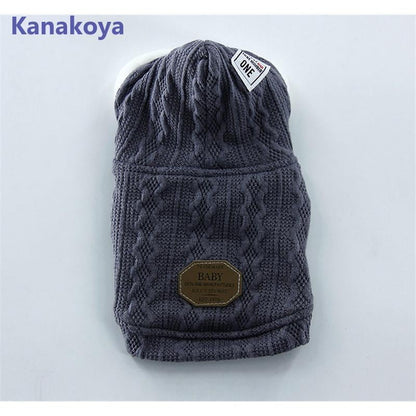 犬服 ペットウェア 秋 冬 裏ボア 裏起毛 保温 防寒 ニット フード付 あったか ドッグウェア 小型犬 中型犬 愛犬 猫 旅行 お出掛け お散歩