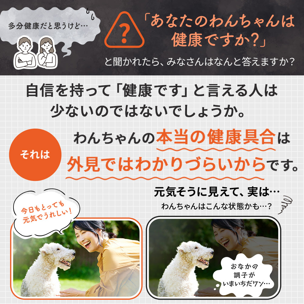 <a href="https://www.qoo10.jp/gmkt.inc/Search/brand.aspx?brandno=62316" target="_blank" class="title_brand" id="btn_brand" title="大正製薬">大正製薬</a>【公式】大正製薬 わんビオフェルミンS 40g 6袋 犬 サプリ サプリメント 腸活 免疫力 健康維持 ビフィズス菌 乳酸菌 犬サプリ イヌ 犬用 ペット 腸活サプリ 無添加 ふりかけ 粉 腸内環境