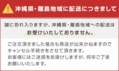 ペットシーツ 120×90cm 超でかっ!! サラ・シート うす型 日本製3枚入×12袋(36枚) PDU-001