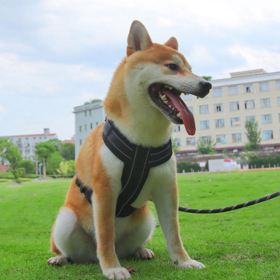 負担の少ない アウトドア 大型犬 ワンタッチタイプS 犬 おしゃれ カラフル 着脱しやすい 小型犬 XL M 胴輪 L ネコポス かわいい 中型犬 ハーネス