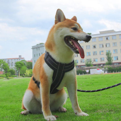 負担の少ない アウトドア 大型犬 ワンタッチタイプS 犬 おしゃれ カラフル 着脱しやすい 小型犬 XL M 胴輪 L ネコポス かわいい 中型犬 ハーネス