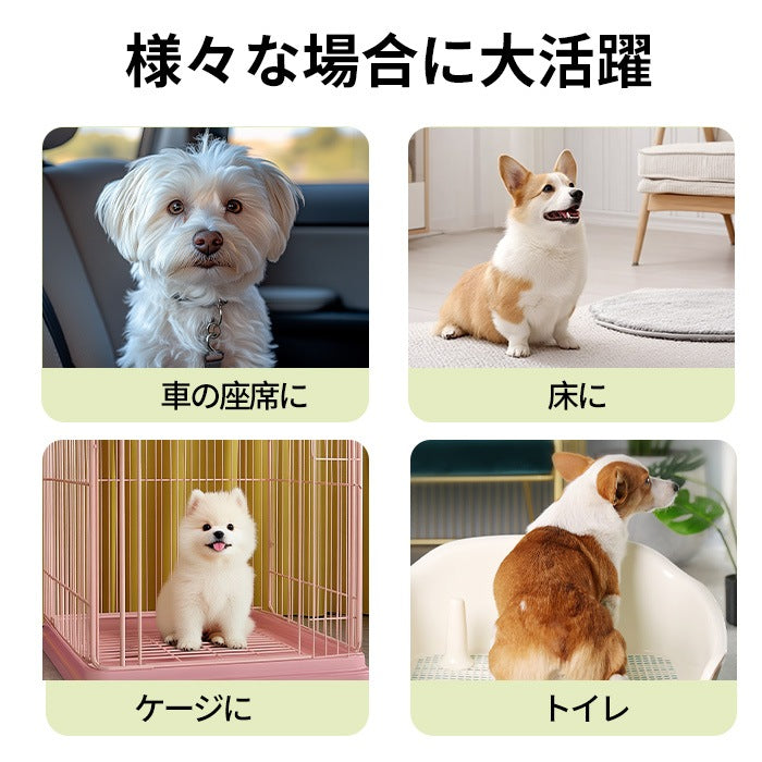 <a href="https://www.qoo10.jp/gmkt.inc/Search/brand.aspx?brandno=109151" target="_blank" class="title_brand" id="btn_brand" title="Honeycare">Honeycare</a>ペットシーツ 中厚型 柄付き レギュラー 80枚/ワイド 40枚/スーパーワイド 20枚 横漏れ防止 トイレシート 犬 猫 ペットシート おしっこシート 瞬間吸水 逆戻り防止 ペット用 しっかり超吸収