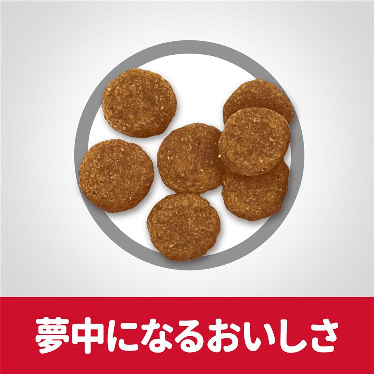 ドッグフード 犬 ヒルズ サイエンスダイエット アダルト ラム&ライス 小粒 成犬用 6.5kg ダイエット ドライフード ドライ フード ペット【TC】 メガ割